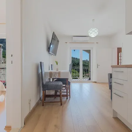 Apartment Senka *